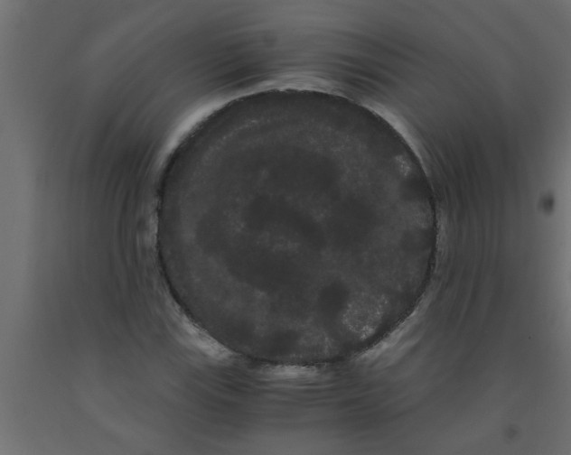 X0000090861115200708241852