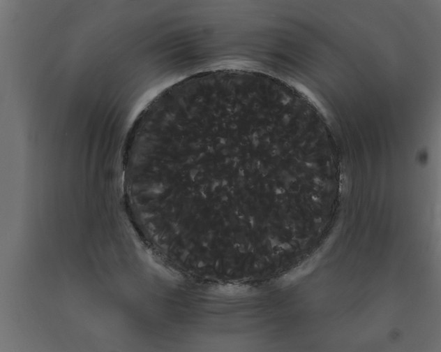 X0000090861117200708241852