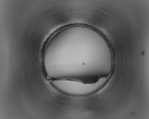 X0000090861118200708241852
