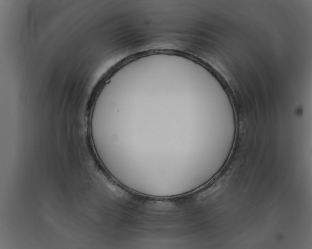 X0000090861119200708241852