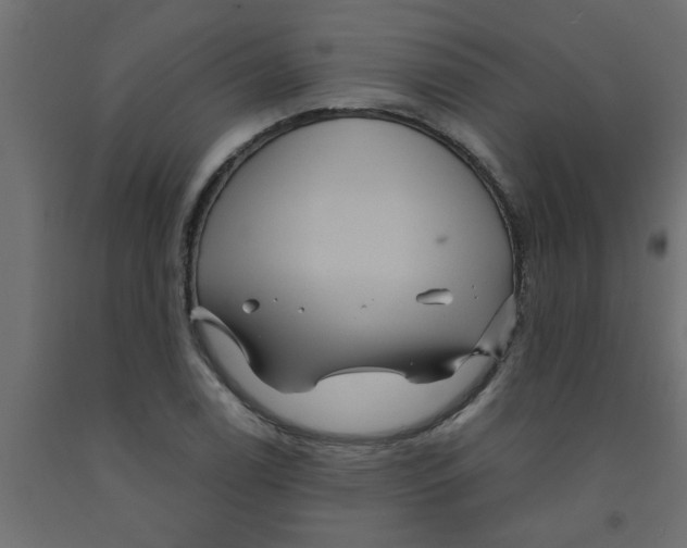 X0000090861122200708241852
