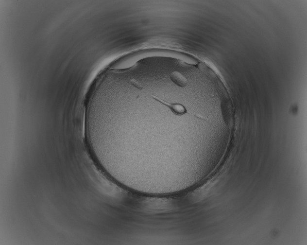 X0000090861123200708241852