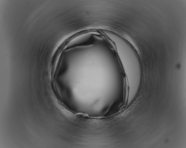 X0000090861124200708241852