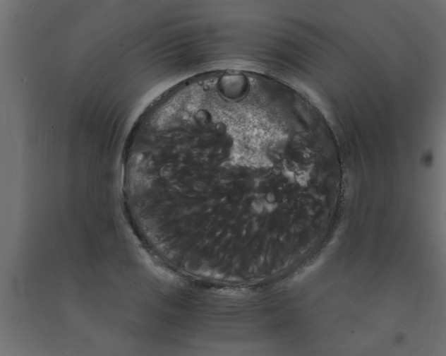 X0000090861125200708241852
