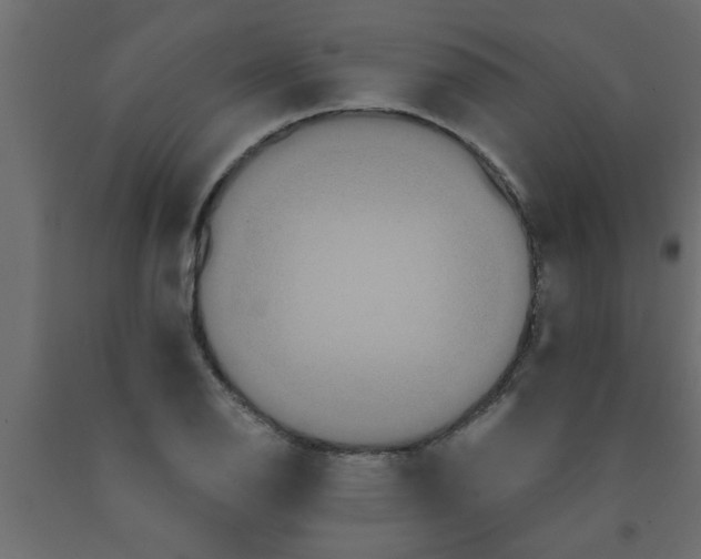 X0000090861126200708241852