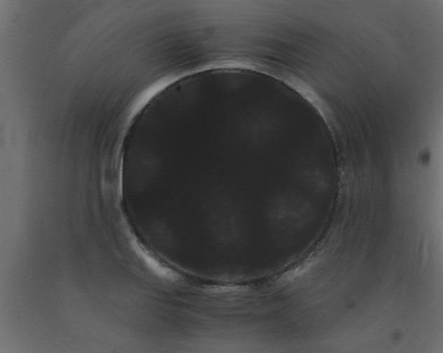 X0000090861127200708241852