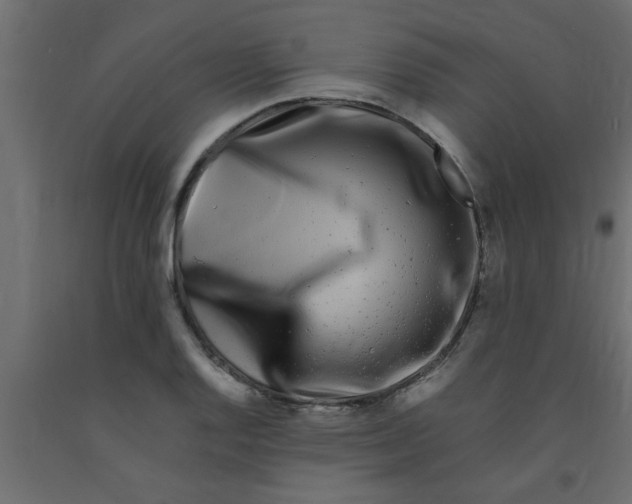 X0000090861128200708241852
