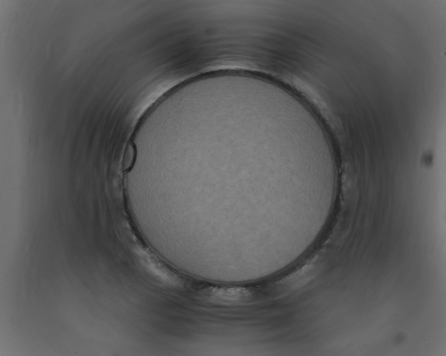 X0000090861129200708241852