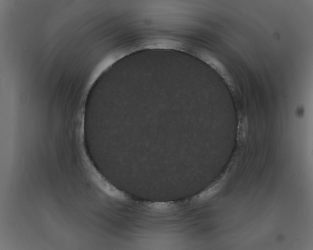 X0000090861130200708241852