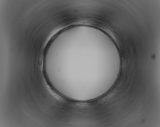 X0000090861131200708241852