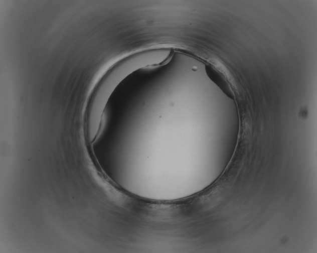 X0000090861132200708241852