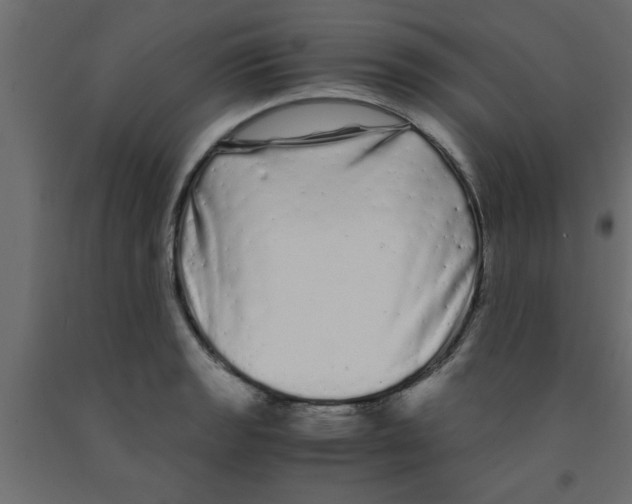 X0000090861133200708241852