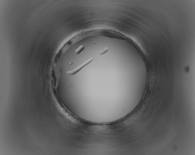 X0000090861134200708241852