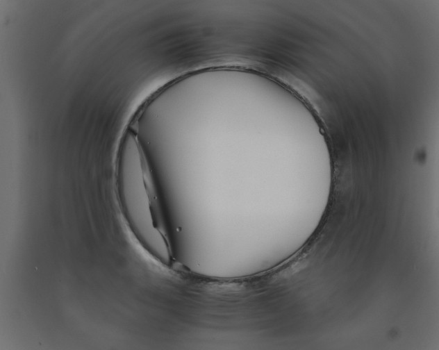X0000090861135200708241852