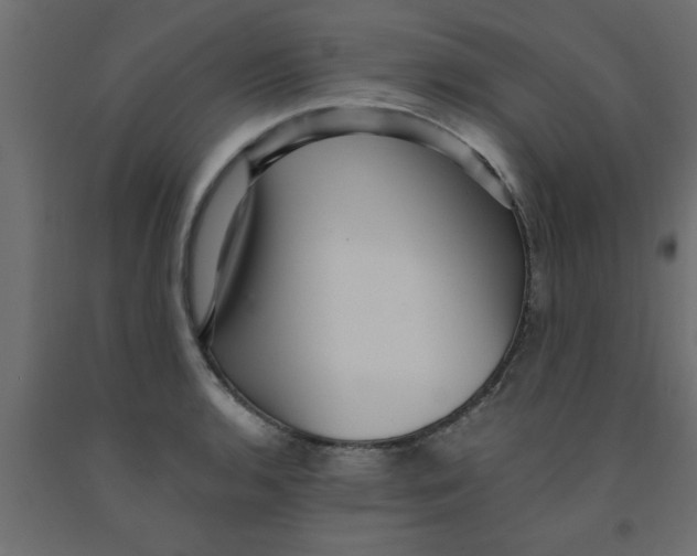 X0000090861136200708241852