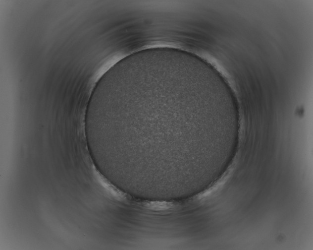 X0000090861137200708241852