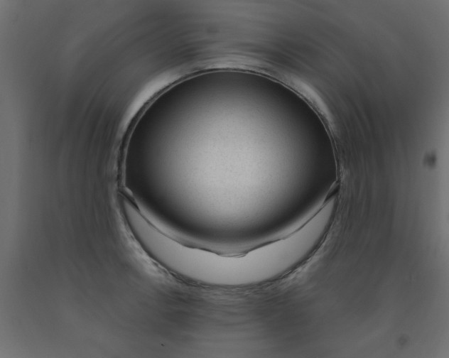 X0000090861138200708241852