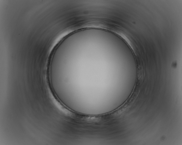X0000090861139200708241852