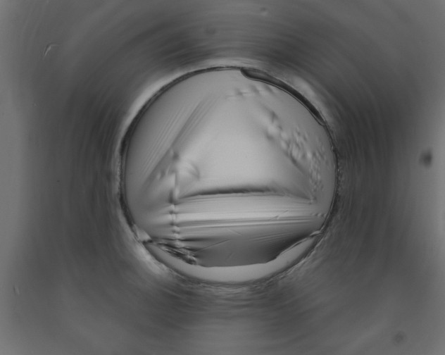 X0000090861140200708241852