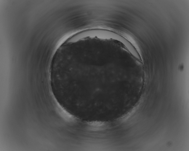 X0000090861141200708241852
