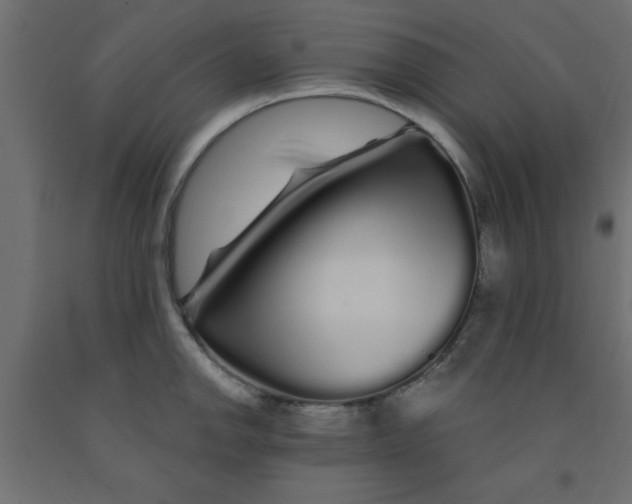X0000090861142200708241852