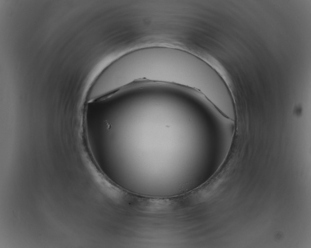 X0000090861144200708241852