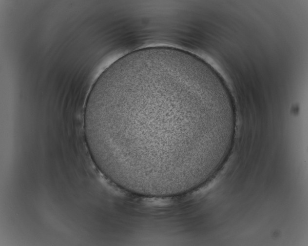 X0000090861145200708241852