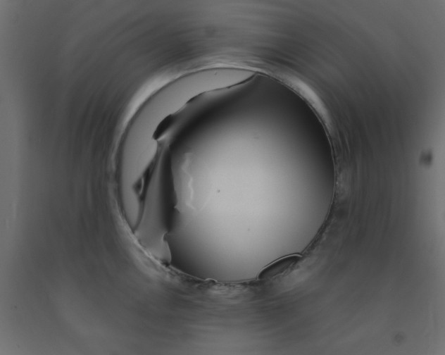 X0000090861146200708241852