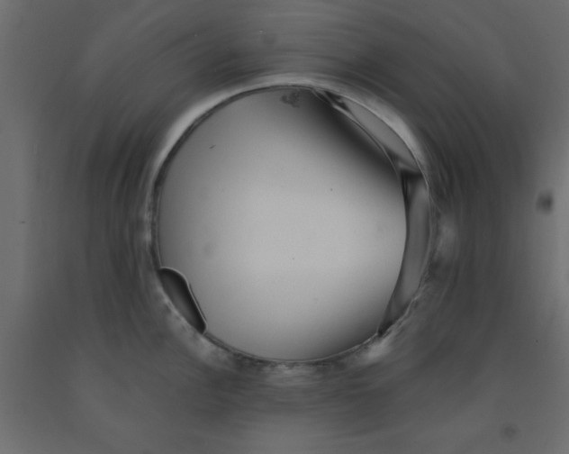 X0000090861148200708241853