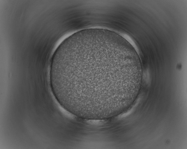 X0000090861149200708241853