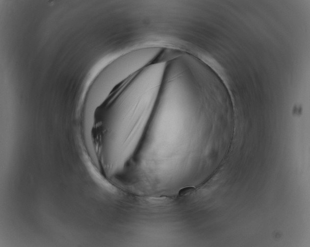X0000090861152200708241853