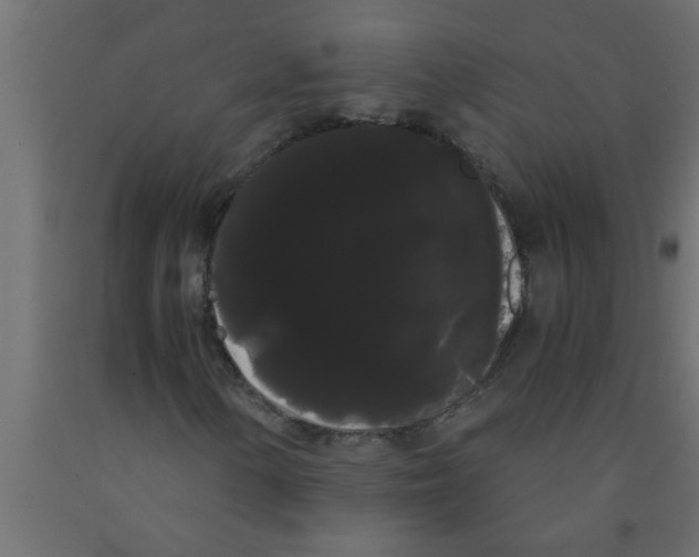 X0000090861154200708241852