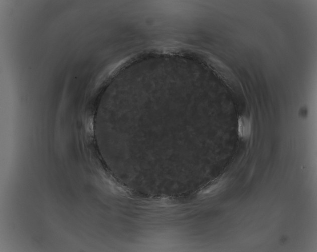 X0000090861155200708241852