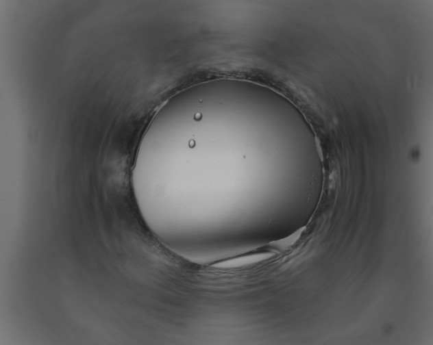 X0000090861156200708241852
