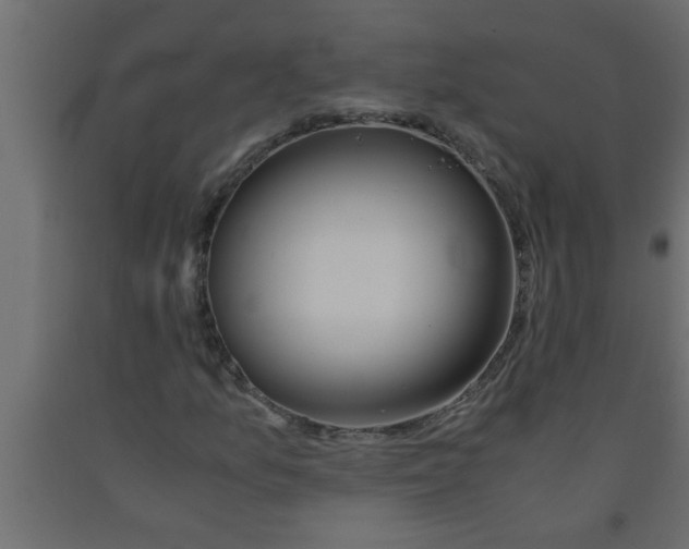X0000090861157200708241852