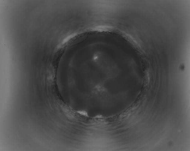 X0000090861158200708241852