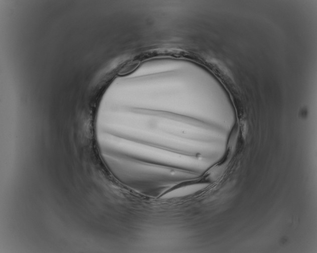 X0000090861159200708241852