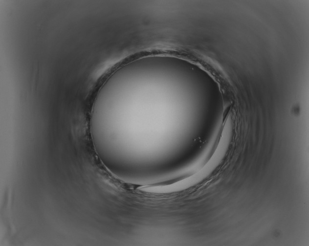 X0000090861160200708241852