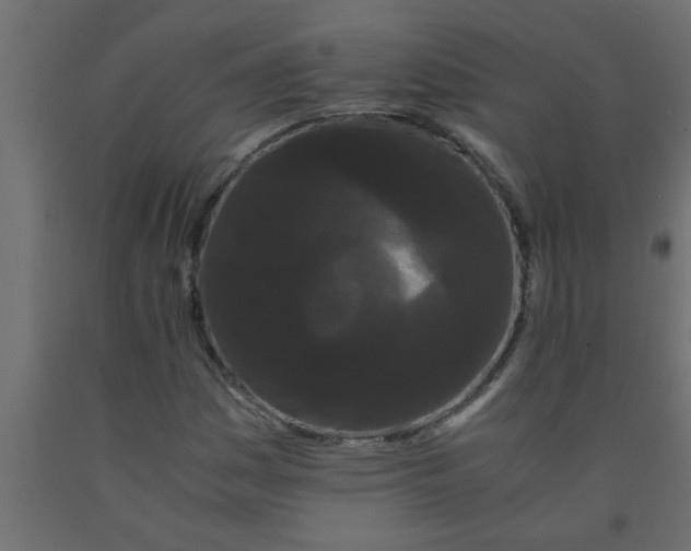 X0000090861161200708241852
