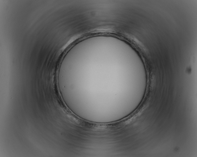 X0000090861162200708241852