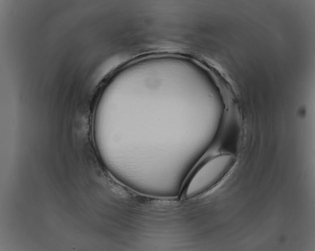 X0000090861163200708241852