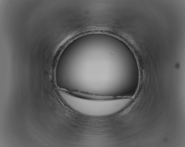 X0000090861165200708241852