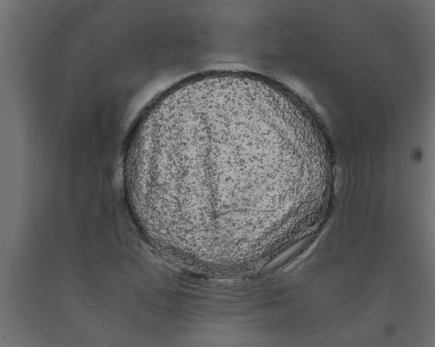 X0000090861167200708241852