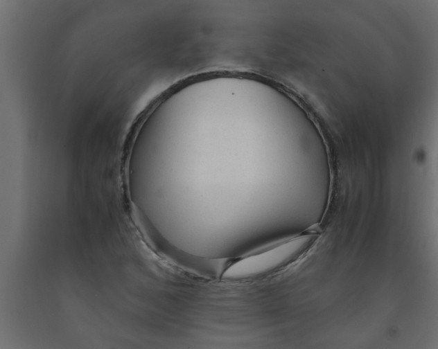 X0000090861168200708241852