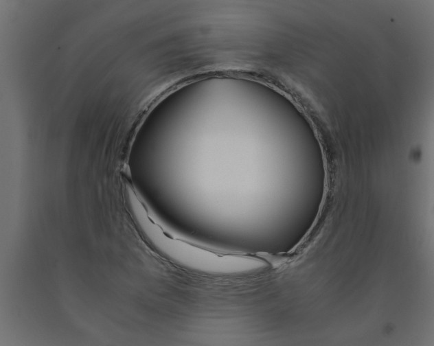 X0000090861169200708241852