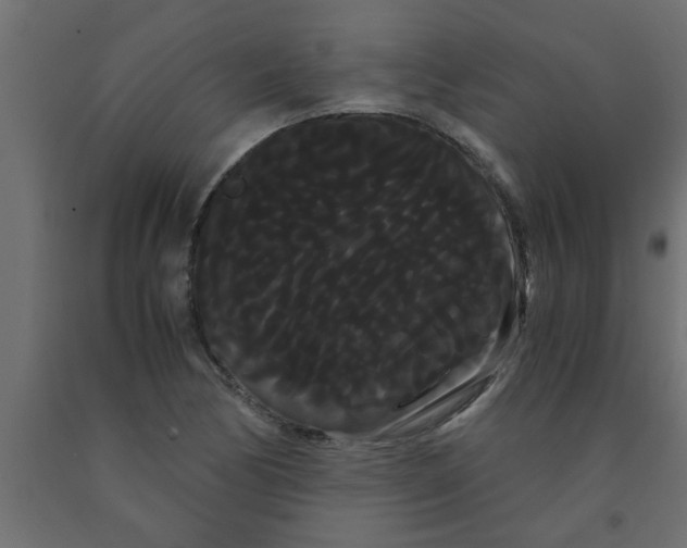 X0000090861170200708241852