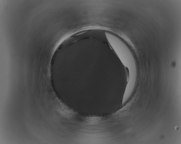X0000090861173200708241852