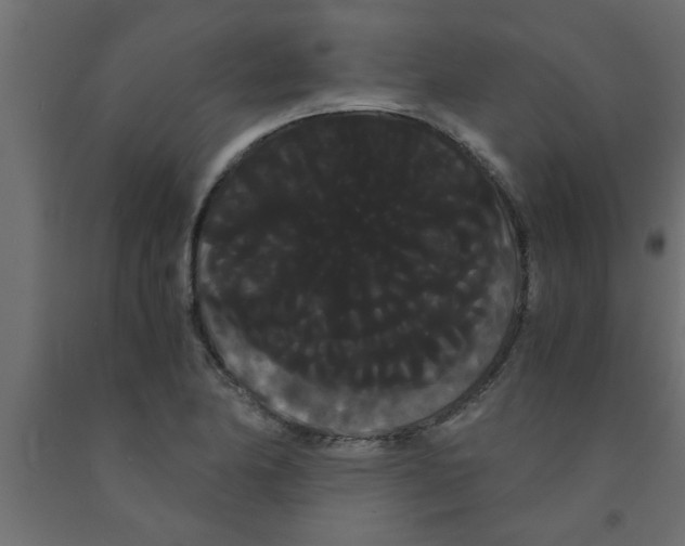 X0000090861174200708241852