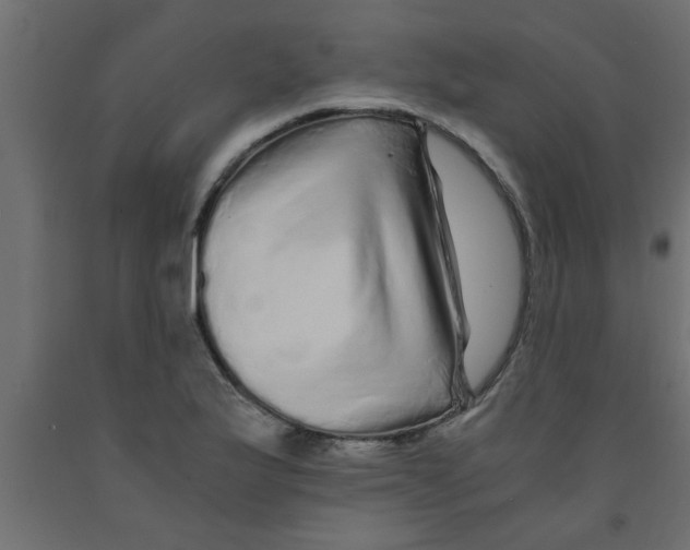 X0000090861175200708241852
