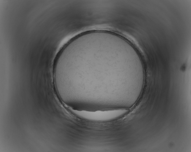 X0000090861176200708241852